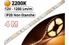 Ruban Led Pro Blanc Extra Chaud 2200K - 4 mètres-IP20