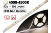 Ruban Led Pro Blanc Naturel 4500K - 19 mètres-IP20