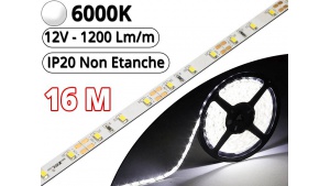 Ruban Led Pro Blanc Pur 6000K - 16 mètres - IP20