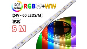 Kit Ruban Led RGB CCT (RGBW+WW) - Pro 5 Mètres - 24V - 60L/M-24 W/M-IP20