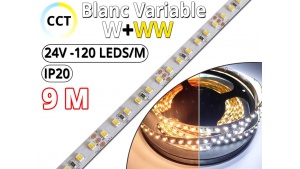 Kit Ruban LED Blanc Variable CCT (W+WW) Pro 9 Mètres - 24V - 120L/M - IP20